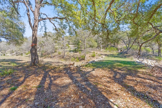 105 Camp Springs Ln, Georgetown, TX 78633 - photo 24
