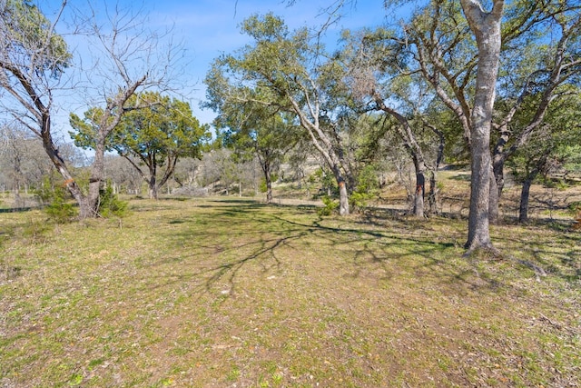 105 Camp Springs Ln, Georgetown, TX 78633 - photo 25