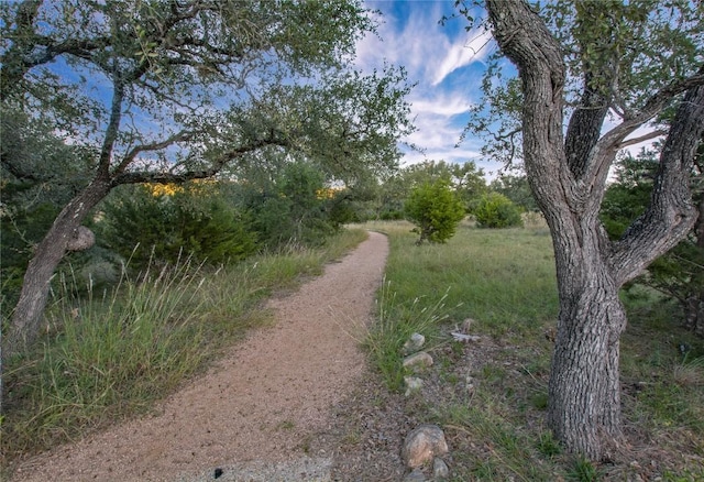 5612 Wild Foxglove Rd, Spicewood, TX 78669 - view of street