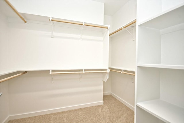 7601 Cooper Ln Unit 25, Austin, TX 78745 - walk in closet featuring carpet