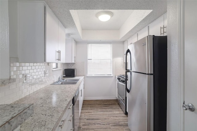 9206 Kempler Dr, Austin, TX 78748 - kitchen with appliances with stainless steel finishes, a tray ceiling, tasteful backsplash, wood finished floors, and white cabinets