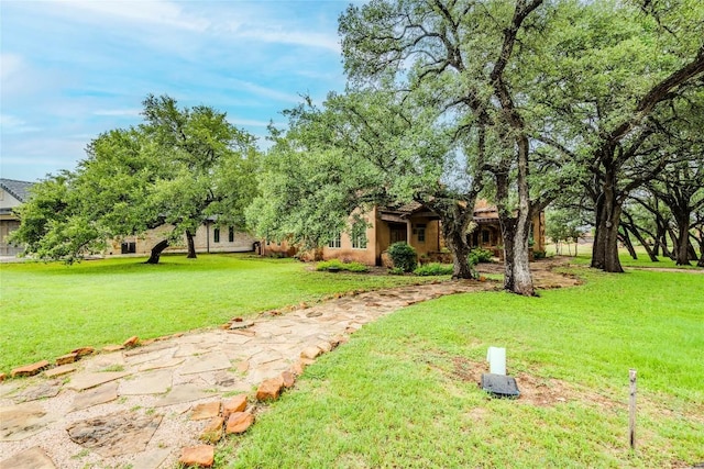 171 Oak Grove Cv, Georgetown, TX 78628 - view of green lawn