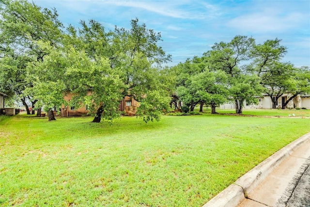 171 Oak Grove Cv, Georgetown, TX 78628 - view of grassy yard