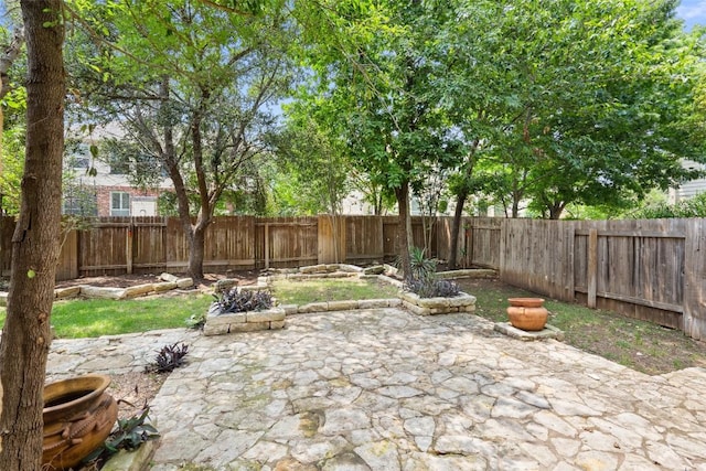 908 Golden Palomino Ct, Austin, TX 78732 - fenced backyard with a patio area