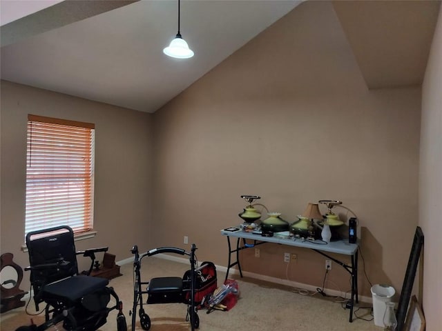 611 Clearcreek Dr, Leander, TX 78641 - exercise room with carpet floors and lofted ceiling