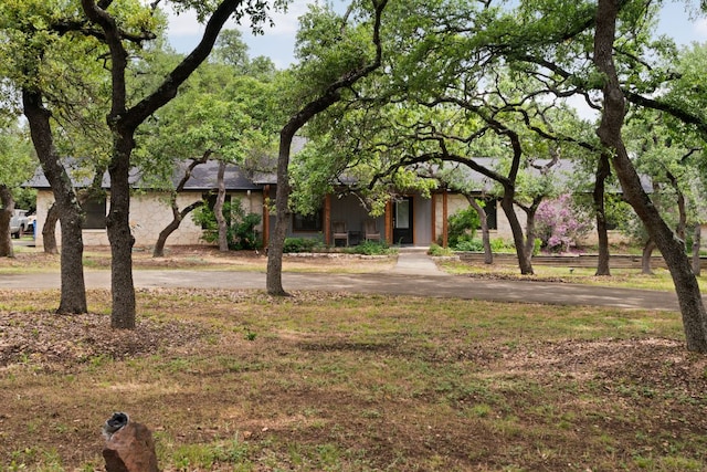 19 Brookmeadow Dr, Wimberley, TX 78676 - photo 11