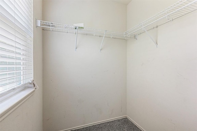 17737 Golden Valley Dr, Manor, TX 78653 - spacious closet featuring carpet floors