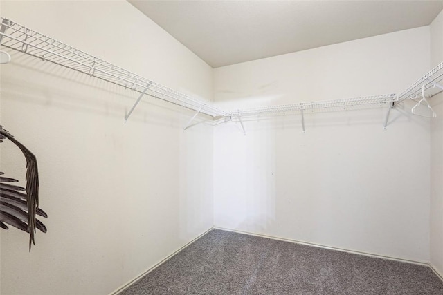17737 Golden Valley Dr, Manor, TX 78653 - walk in closet with carpet floors