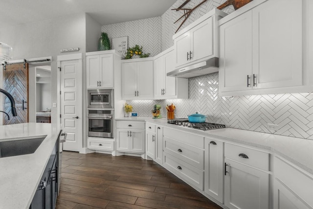 205 Honey Locust Cv, Leander, TX 78641 - kitchen with stainless steel appliances, under cabinet range hood, white cabinetry, and backsplash