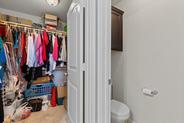 212 Plata Ln, Jarrell, TX 76537 - walk in closet with carpet floors