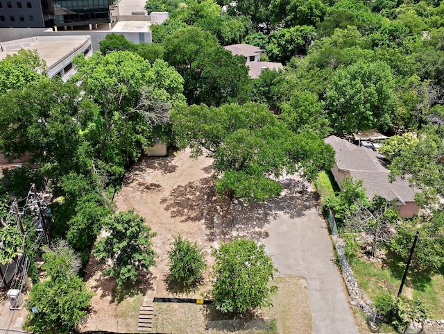 517 Bouldin Ave, Austin, TX 78704