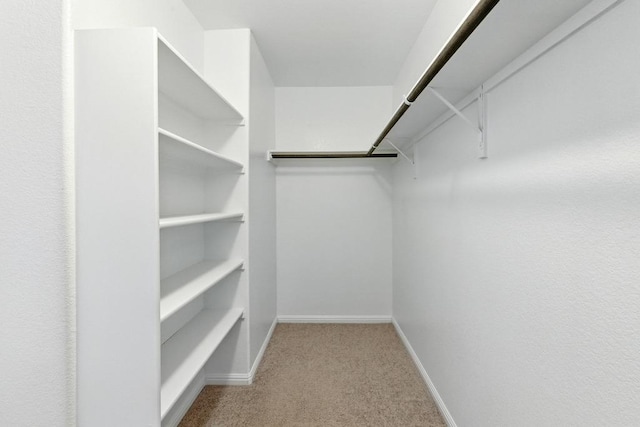 7202 Redding Dr Unit 203, Austin, TX 78745 - spacious closet with carpet flooring