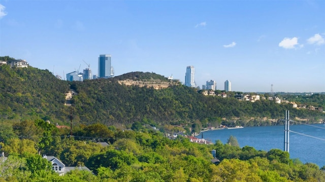 4808 Ranch Rd Unit 2222, Austin, TX 78731 - photo 38