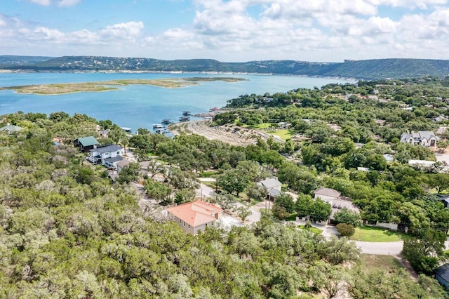 13201 Mansfield Dr, Austin, TX 78732 - drone / aerial view of a large body of water