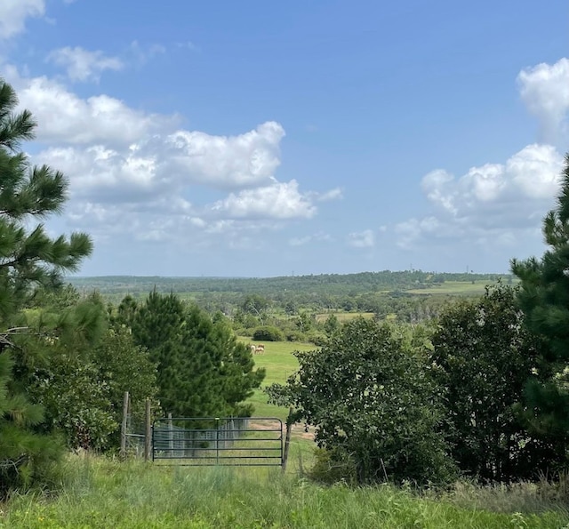 1026 Park Rd Unit 1C, Smithville, TX 78957