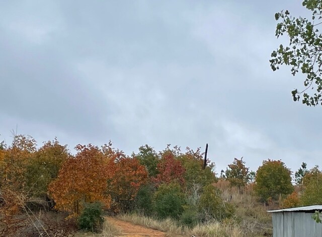 1026 Park Rd Unit 1C, Smithville, TX 78957 - photo 24