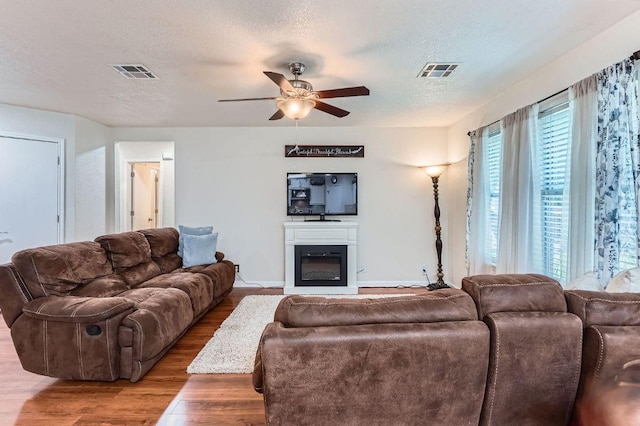 1229 Twin Cv, Kyle, TX 78640 - living area featuring wood finished floors, a textured ceiling, a ceiling fan, and a glass covered fireplace
