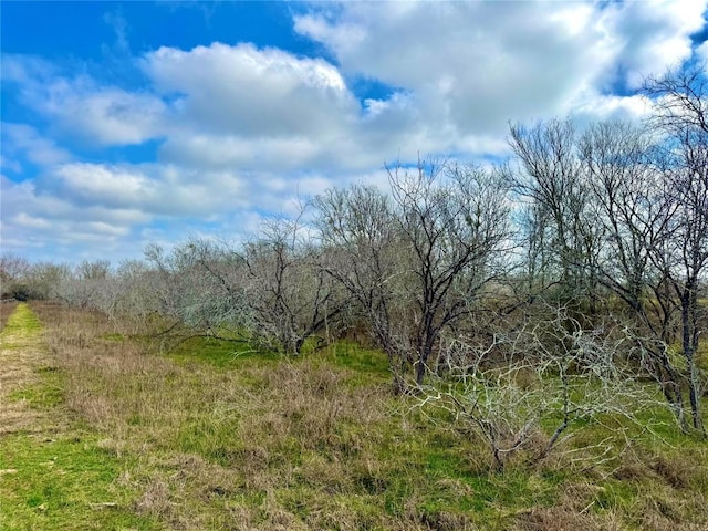 1118 County Road 447, Waelder, TX 78959