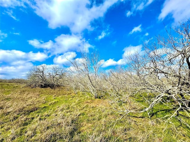 1118 County Road 447, Waelder, TX 78959