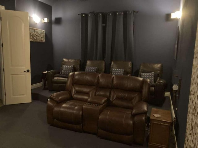 1621 Legends Pkwy, Kingsland, TX 78639 - view of carpeted cinema