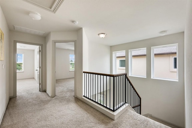 1116 La Conterra Blvd, Georgetown, TX 78626 - corridor featuring an upstairs landing, carpet floors, plenty of natural light, and attic access