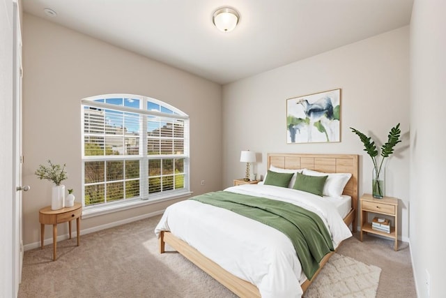 2533 Buffalo Ford Ct, Georgetown, TX 78628 - bedroom with carpet flooring and baseboards