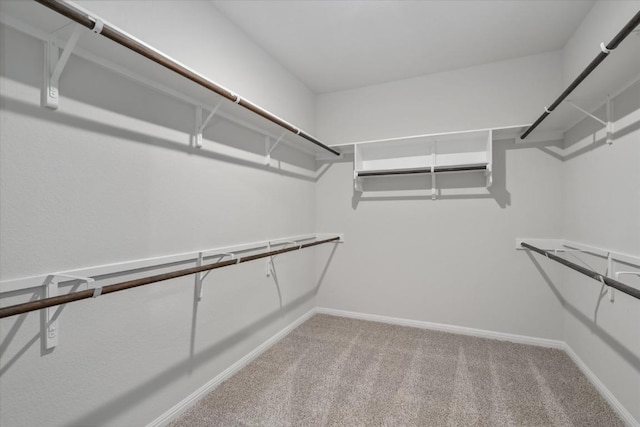 10406 Mager Ln, Hutto, TX 78634 - photo 25