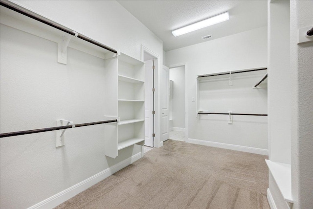 19612 Abigail Way, Pflugerville, TX 78660 - spacious closet featuring light carpet