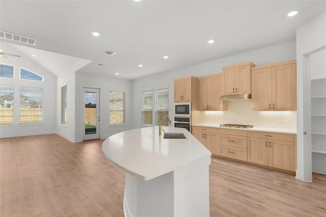 20500 Ed Townes Ter, Manor, TX 78653 - kitchen featuring light brown cabinetry, appliances with stainless steel finishes, plenty of natural light, recessed lighting, and vaulted ceiling