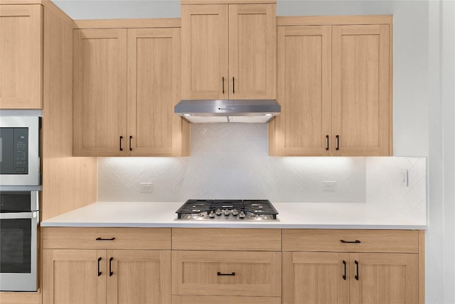 20500 Ed Townes Ter, Manor, TX 78653 - kitchen with under cabinet range hood, stainless steel appliances, and light brown cabinetry