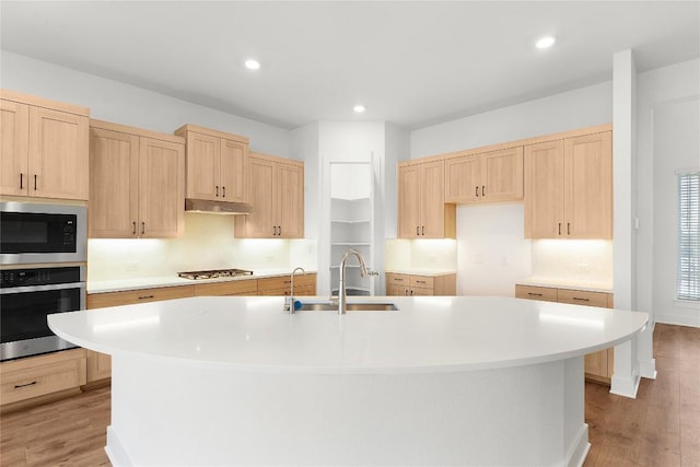 20500 Ed Townes Ter, Manor, TX 78653 - kitchen featuring stainless steel appliances, light brown cabinetry, light wood-style flooring, and recessed lighting