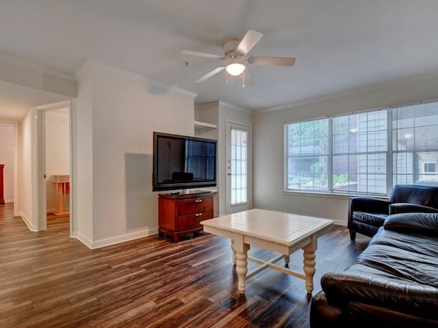 501 W 26th St Unit 102, Austin, TX 78705 - living room with dark wood-style flooring, a ceiling fan, and crown molding