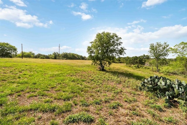 227 Henderson Ln, Lockhart, TX 78644 - photo 22