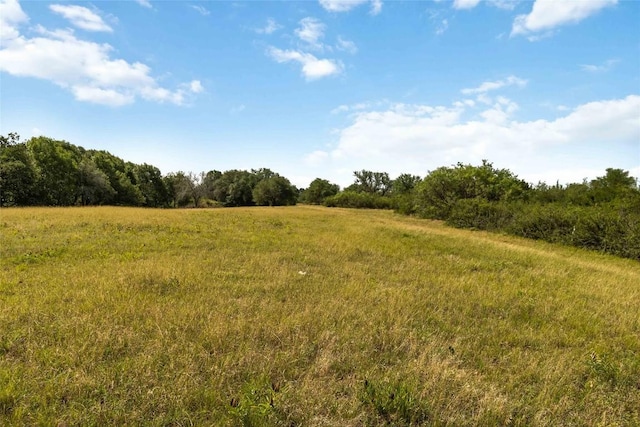 227 Henderson Ln, Lockhart, TX 78644 - photo 28