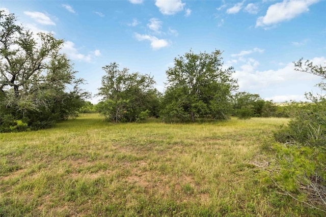 227 Henderson Ln, Lockhart, TX 78644 - photo 33