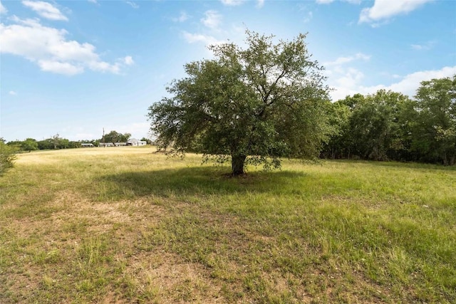 227 Henderson Ln, Lockhart, TX 78644 - photo 24