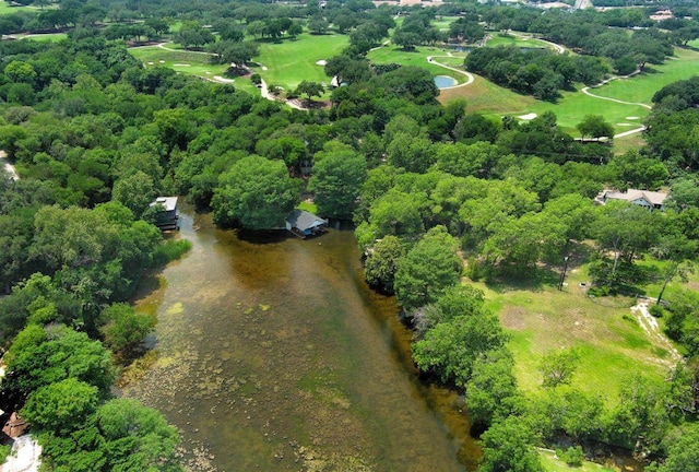 4703 Laguna Ln, Austin, TX 78746 - aerial view of property's location