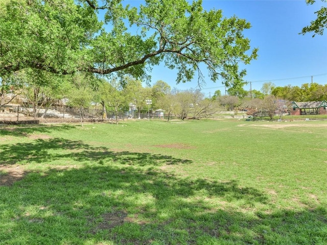 1503 W 9th St Unit 106, Austin, TX 78703 - view of yard