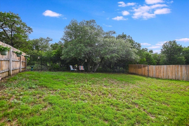 229 Mary Max Cir, San Marcos, TX 78666 - view of fenced backyard