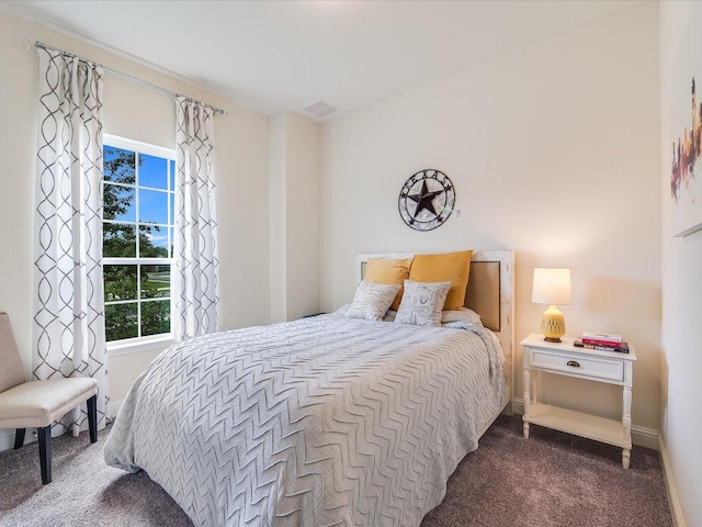 6701 Denia Dr, Austin, TX 78739 - bedroom with carpet and baseboards
