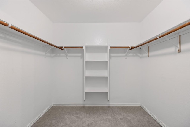 4019 Brookhaven Dr, Temple, TX 76504 - walk in closet featuring carpet floors