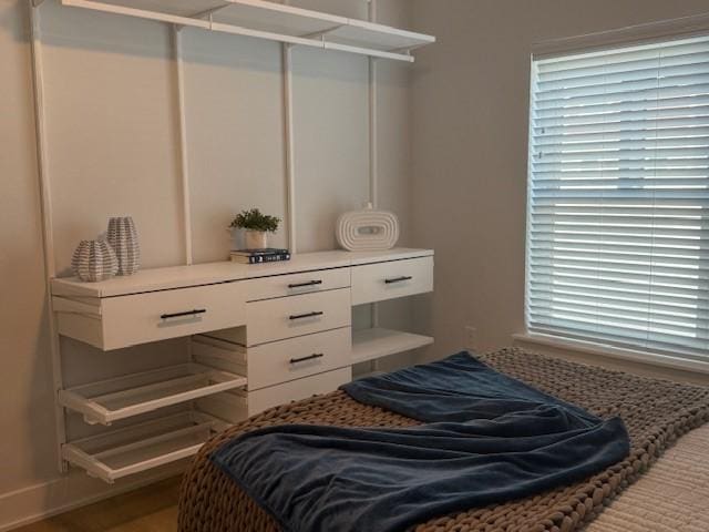 3101 Govalle Ave Unit 103, Austin, TX 78702 - bedroom with multiple windows and a closet