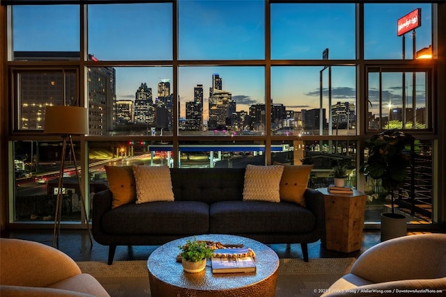 601 Brushy St Unit 106, Austin, TX 78702 - living room featuring a view of skyline