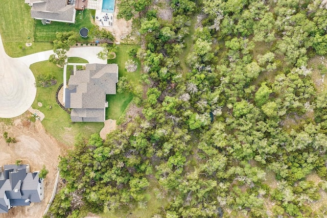 265 Gaucho Way, Dripping Springs, TX 78620 - photo 32