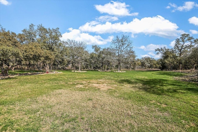 542 Stars And Stripes, Fischer, TX 78623 - view of green lawn
