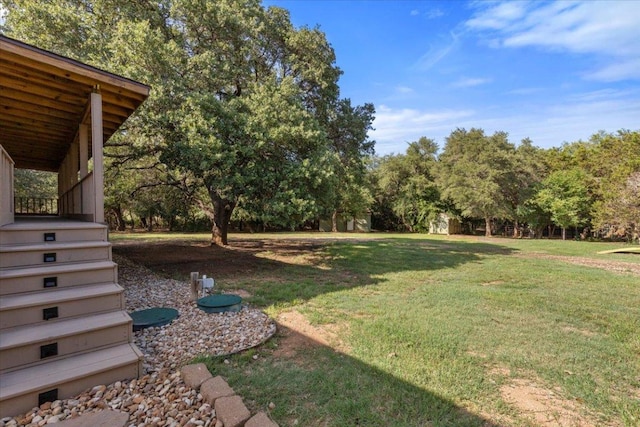 111 Lazy Trail Ct, Liberty Hill, TX 78642 - view of green lawn featuring view of scattered trees