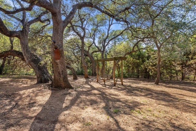 111 Lazy Trail Ct, Liberty Hill, TX 78642 - view of yard