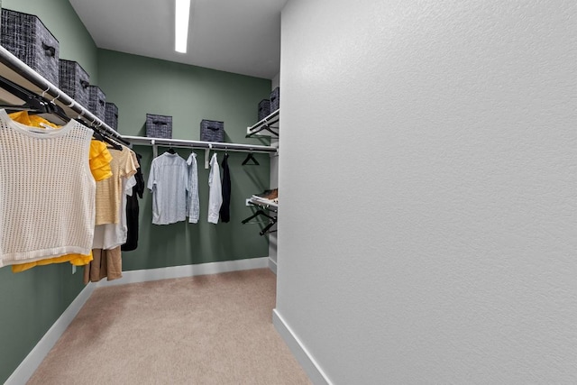 435 Emory Crossing Blvd, Hutto, TX 78634 - spacious closet featuring carpet