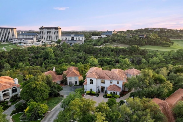 1508 Mesa Ridge Ln, Austin, TX 78735 - bird's eye view