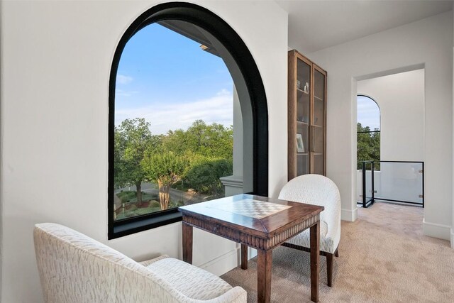1508 Mesa Ridge Ln, Austin, TX 78735 - living area with light carpet